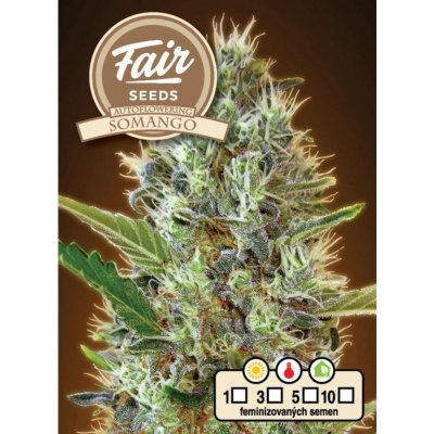 Fair Seeds AUTO Somango semena neobsahují THC 5 ks – Zboží Dáma