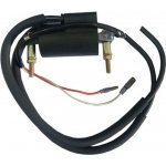 DZE indukční cívka HONDA CB 750 69-78; CB 550 75-78; CB 500 71-73; KAWASAKI KZ 650/1000 77-80; SUZUKI GS 550/750 77-79 (30500-300-013;21121-1013;33410-45020;30500-323-023) – Hledejceny.cz