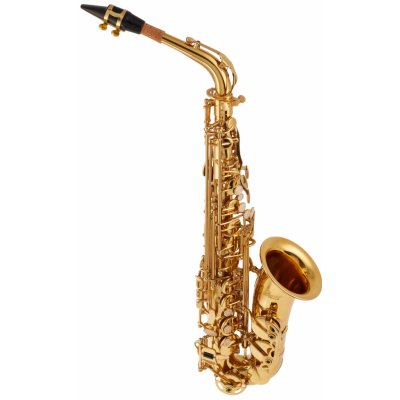 Bacio Instruments BAS-100 – Sleviste.cz