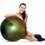 Gymnic Arte 55 cm – Zboží Dáma