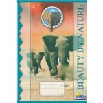 Notes Školní sešit 425 čtvereček – Hledejceny.cz