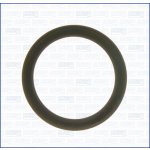 01110900 AJUSA Těsnění, koleno sacího potrubí – Hledejceny.cz