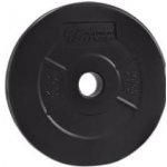 PLATINUM FITNESS Cementový kotouč 2,5 kg / 29mm – Zboží Mobilmania