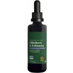 Global Healing RAW extrakt z echinacey a černého bezu 59,2 ml – Hledejceny.cz