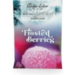 Boles D´olor Vonný sáček kapesní malý 5,5 x 7,5 x 0,3 cm Frosted Berries – Hledejceny.cz