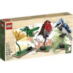LEGO® Ideas Exclusive 21301 Ptáci – Zboží Dáma