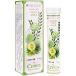 Diochi Citrus Amla šumivé tablety s Vitamínem C 20 tablet – Hledejceny.cz