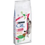 Cat Chow Adult Special Care Urinary Tract Health 2 x 15 kg – Hledejceny.cz