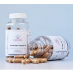 ANIMA MEA Rehmánie lepkavá 60 kapslí – Hledejceny.cz