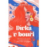 Dívka v bouři – Hledejceny.cz