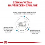 Royal Canin Veterinary Health Nutrition Anallergenic Dog 8 kg – Zboží Mobilmania