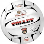 Volley Champions – Hledejceny.cz