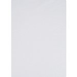 Polášek Nepromokavý froté chránič matrace lů kovin 90x200 – Zboží Dáma