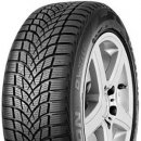 Osobní pneumatika DAYTON DW510 EVO 225/45 R17 91H