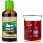 Bylinné kapky Jam yam-smldinec chlupatý Dioscorea villosa bylinné kapky tinktura 50 ml – Hledejceny.cz