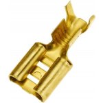 Solarmi instalační konektor Faston F2 6,3mm pro baterie 7102-05/100 – Zbozi.Blesk.cz