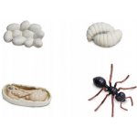 Safari Ltd. Životní cyklus Mravenec – Zboží Mobilmania