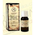 Aromatika Jedle éterický olej 10 ml K378 – Hledejceny.cz