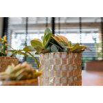 Ter Steege Váza Stian soft jade D14 H24 – Hledejceny.cz