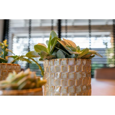 Ter Steege Váza Stian soft jade D14 H24 – Hledejceny.cz