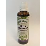 Dr. Popov Bylinné kapky Bříza bělokorá 50 ml – Hledejceny.cz