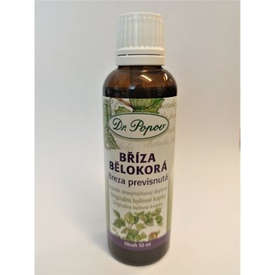 Dr. Popov Bylinné kapky Bříza bělokorá 50 ml – Hledejceny.cz