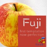 FlavourArt Jablko 10 ml – Zboží Dáma