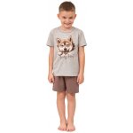 Italian Fashion Shiba – Hledejceny.cz