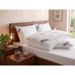 Dadka přikrývka Antistress 135x200 – Sleviste.cz