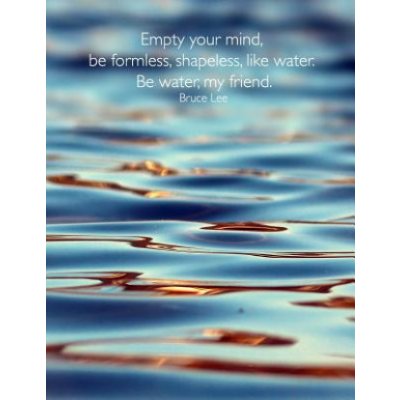 Empty Your Mind Be Formless Shapeless Like Water Be Water My Friend Bruce Lee 8 5x11 College Ruled Notebook Water Martial Arts Philosophy Natur Heureka Cz
