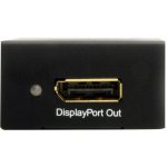 StarTech HDMI2DP – Hledejceny.cz