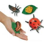 Insect Lore Životní cyklus Beruška – Zboží Dáma