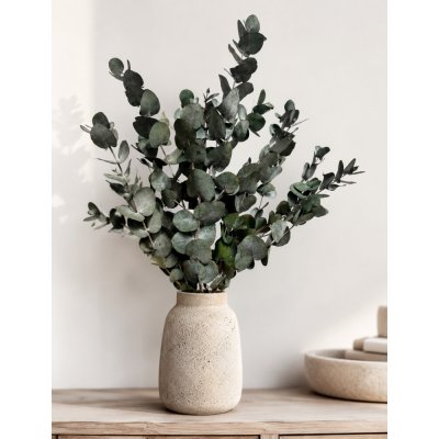 Stabilizovaný eukalyptus ESPIRAL, kytice/svazek šedozelených větviček 140g – Hledejceny.cz