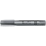NÁSTROJE CZ Závitník sadový W3/4" 10z/1" II NO stř. PN8/3011 - 111 - CZZ111-3402 – Hledejceny.cz