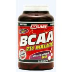 XXtreme BCAA Malate 211 240 kapslí – Hledejceny.cz
