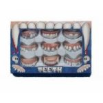 Sada 9 druhů zubů – Sleviste.cz