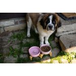 JK ANIMALS keramická miska YUMMY LOVE pro psy růžová 16,5 cm 850 ml – Hledejceny.cz