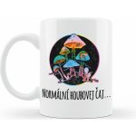 Ahome Hrneček Houbovej čaj 330 ml – Zboží Dáma