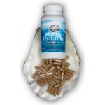 Marine Health Foods Oystermax extrakt z ústřic 120 kapslí – Hledejceny.cz