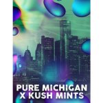 Tramuntana Seeds Michigan Mints semena neobsahují THC 3 ks – Zboží Dáma