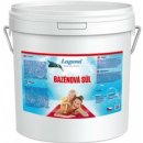 LAGUNA bazénová sůl 10kg