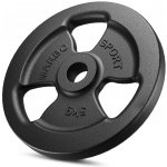Marbo sport Litinový závaží 5 kg 31 mm – Hledejceny.cz