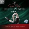 Program pro úpravu hudby Best Service Chris Hein Winds Compact (Digitální produkt)