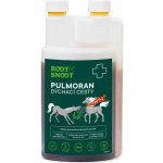 Root&Snoot Pulmoran Dých.cesty pro koně sirup 1 l – Hledejceny.cz