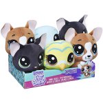 Hasbro Littlest Pet Shop s pohyblivou hlavou Bev Gilturtle – Zboží Mobilmania