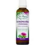 Dr.Popov Kapky bylinné Ostropestřec s právenkou 50 ml – Hledejceny.cz