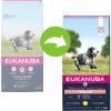 Granule pro psy Eukanuba Medium Breed Caring Senior 15 kg