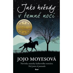 Jako hvězdy v temné noci - Jojo Moyes