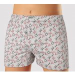 Andrie pánské trenýrky PS 5741 šedá – Zboží Dáma