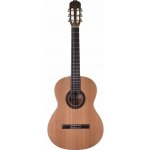 Prodipe Guitars LH Student – Sleviste.cz